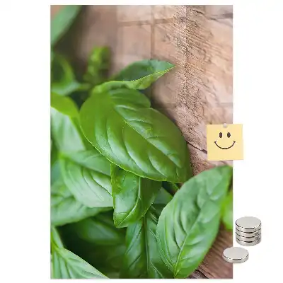 Tablă magnetică de perete cu model frunze de busuioc