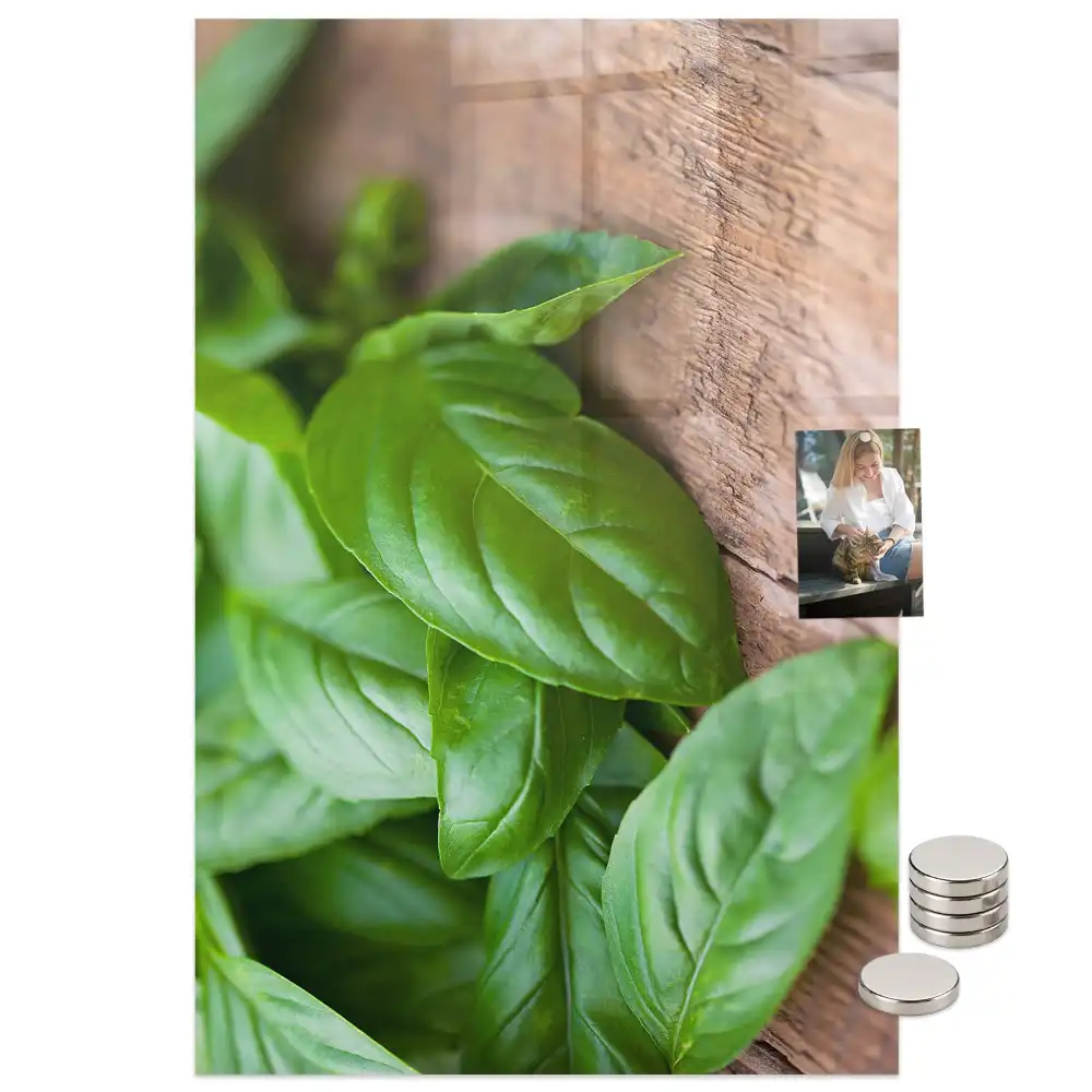Tablă magnetică de perete cu model frunze de busuioc