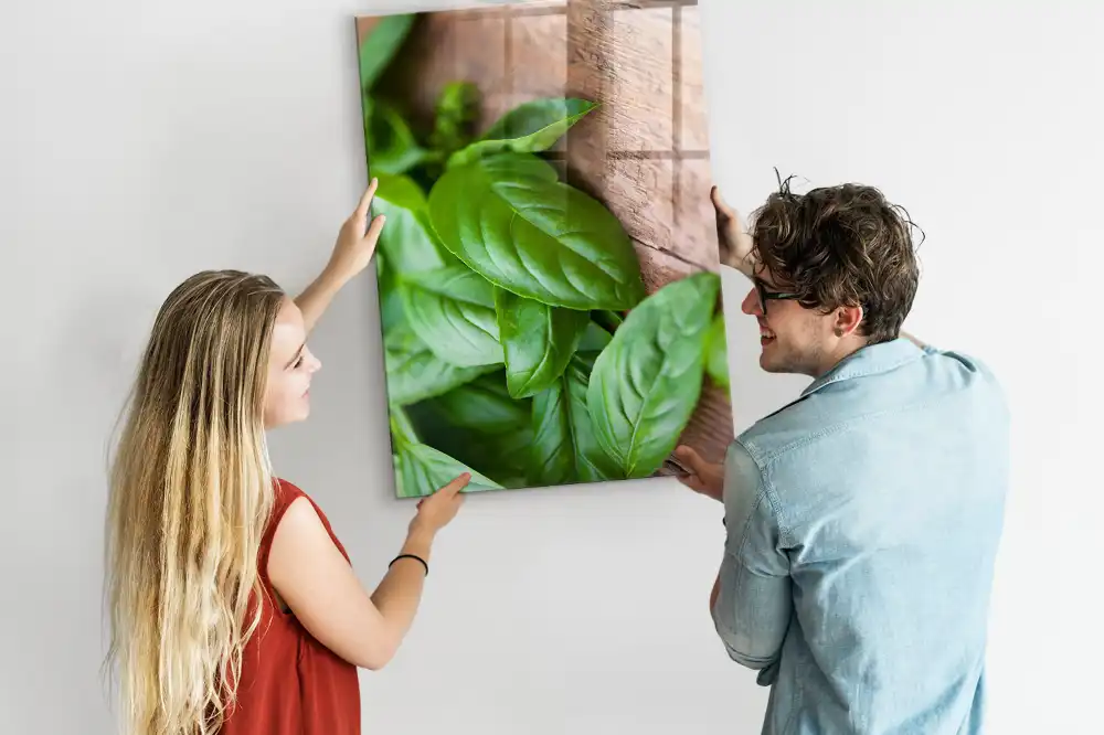 Tablă magnetică de perete cu model frunze de busuioc