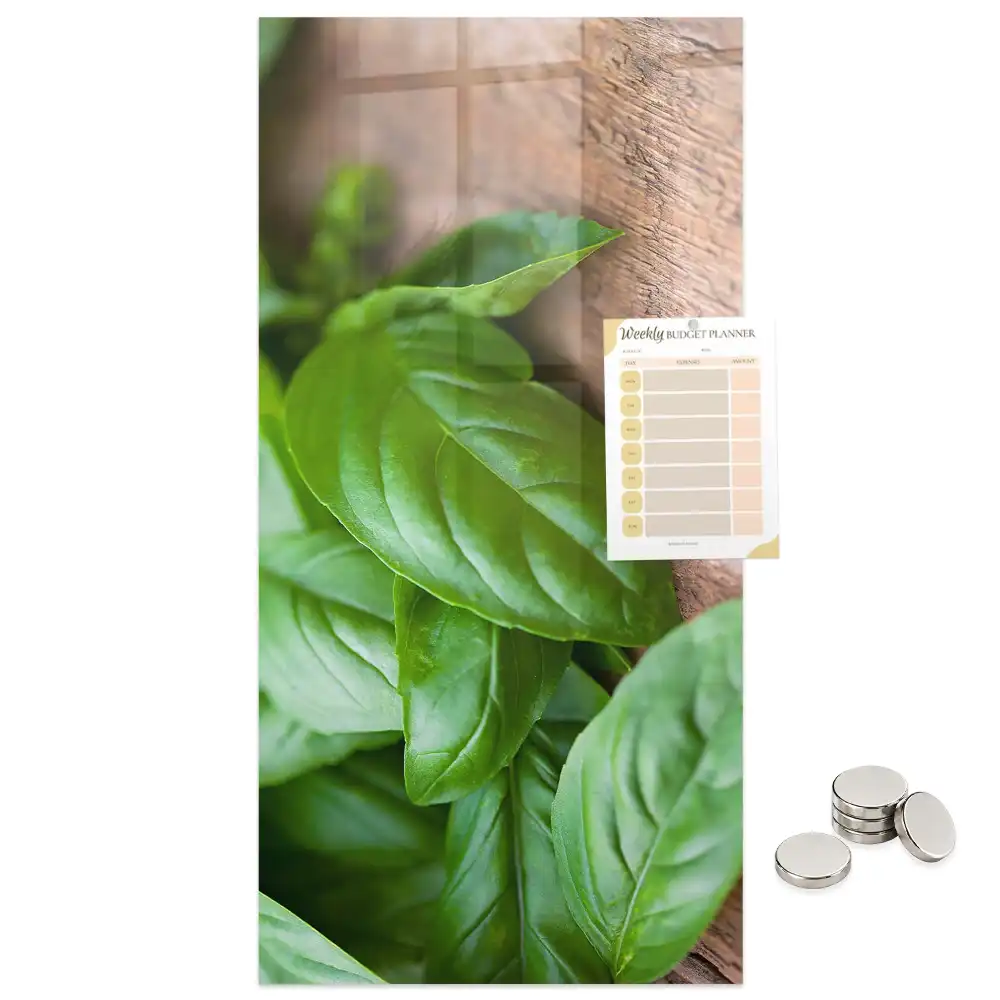 Tablă magnetică de perete cu model frunze de busuioc