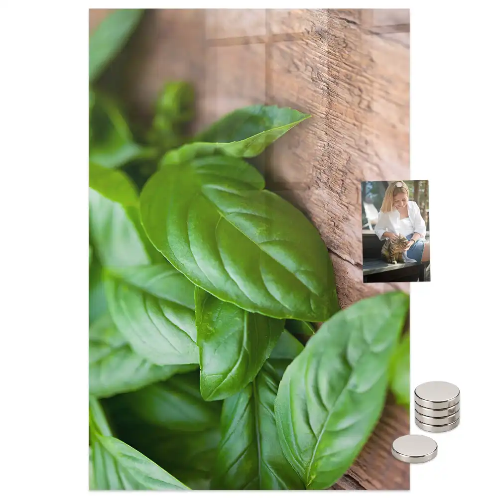 Tablă magnetică de perete cu model frunze de busuioc