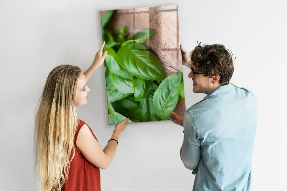 Tablă magnetică de perete cu model frunze de busuioc