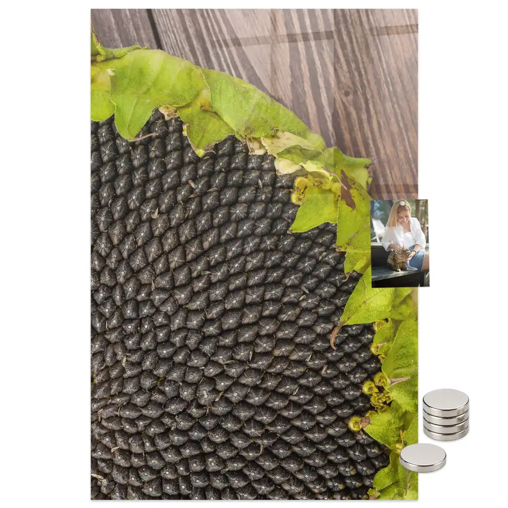 Tablă magnetică de perete pentru semințe de floarea-soarelui