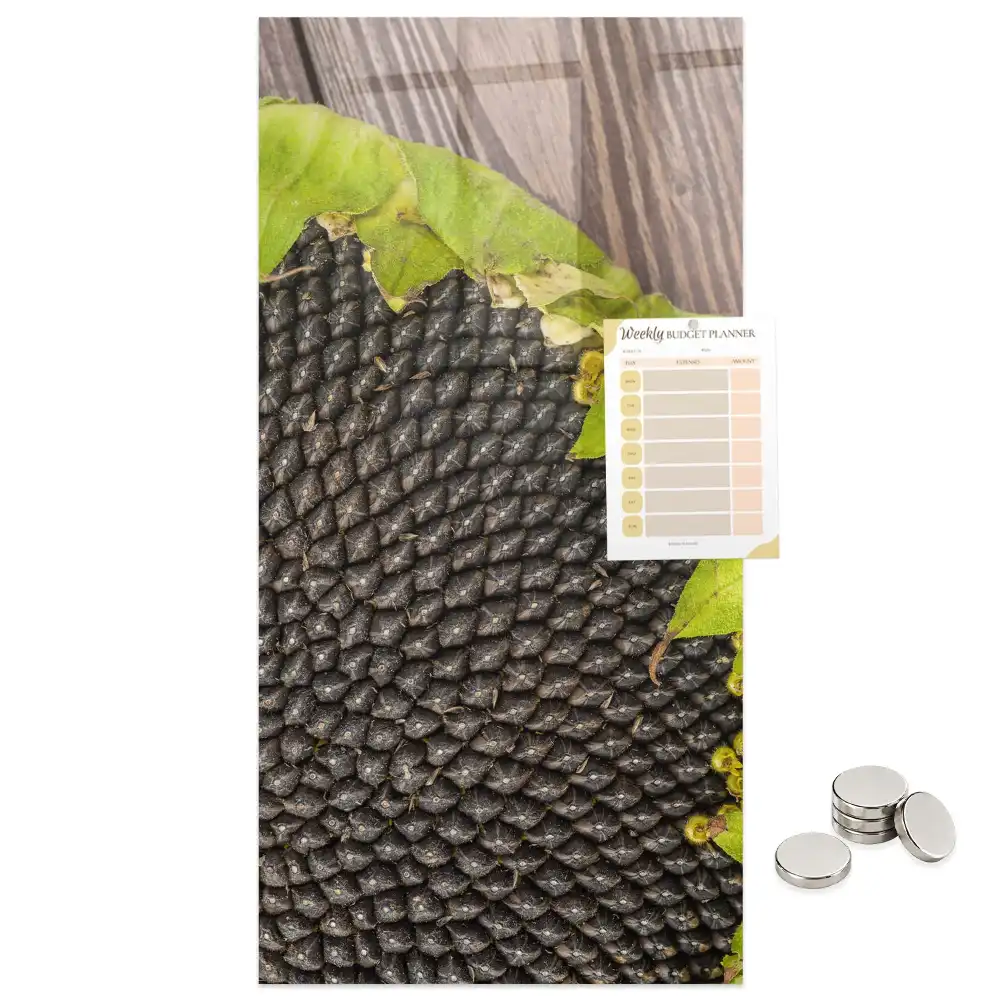 Tablă magnetică de perete pentru semințe de floarea-soarelui