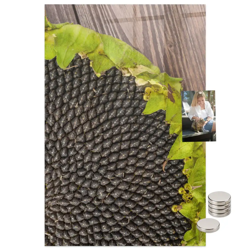 Tablă magnetică de perete pentru semințe de floarea-soarelui