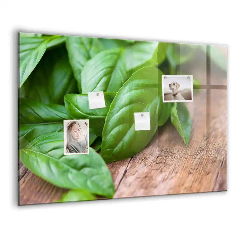 Tablă magnetică pentru magneți, design busuioc verde