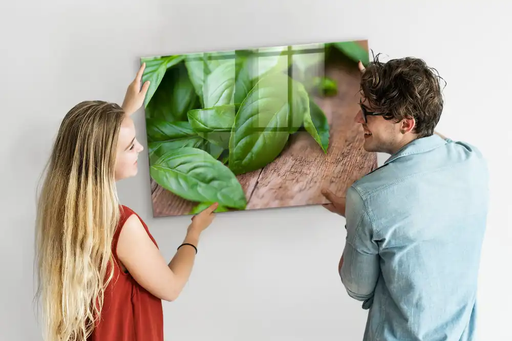 Tablă magnetică pentru magneți, design busuioc verde