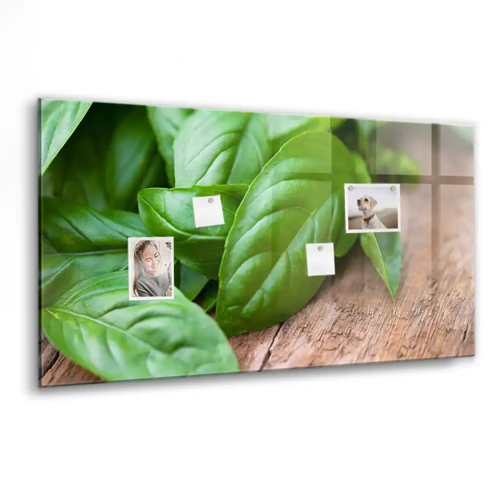 Tablă magnetică pentru magneți, design busuioc verde