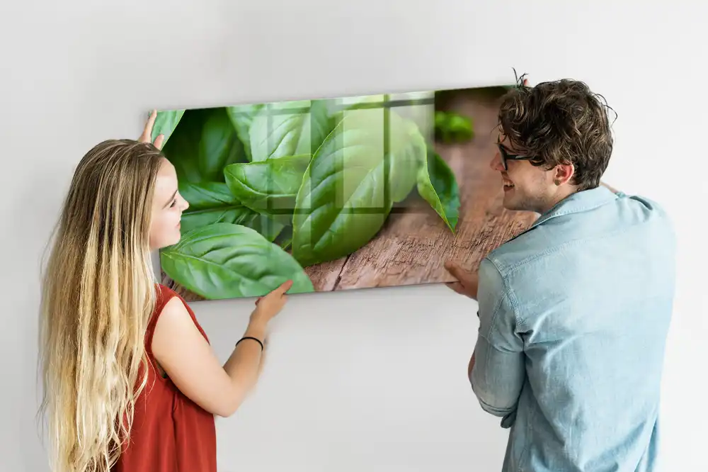 Tablă magnetică pentru magneți, design busuioc verde