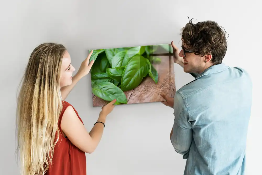 Tablă magnetică pentru magneți, design busuioc verde