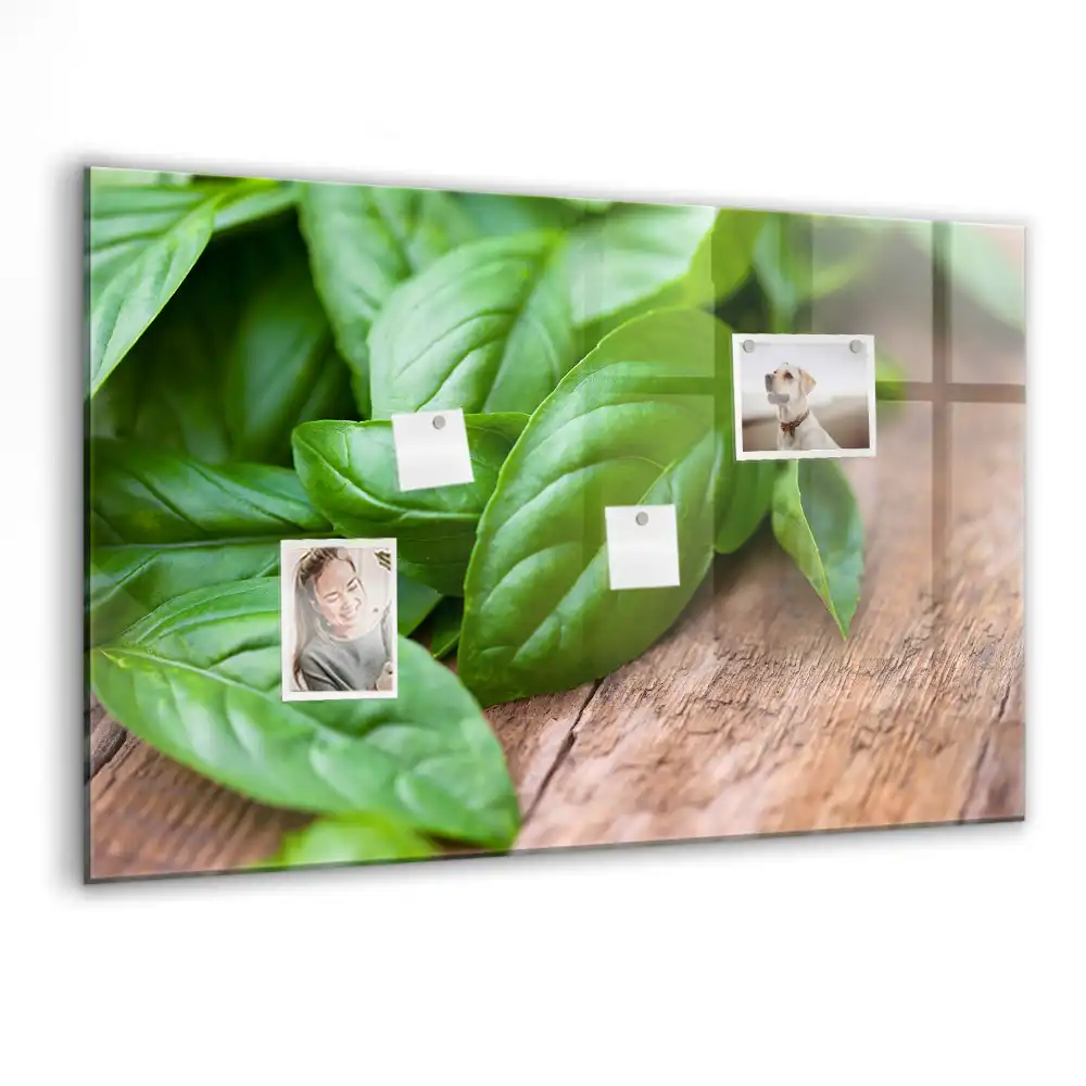 Tablă magnetică pentru magneți, design busuioc verde