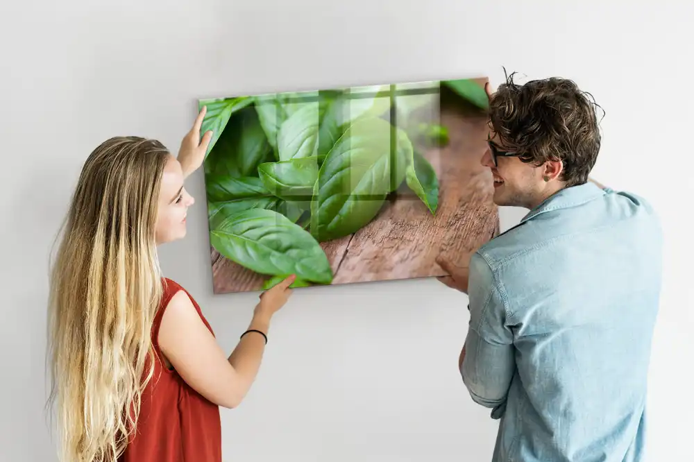 Tablă magnetică pentru magneți, design busuioc verde