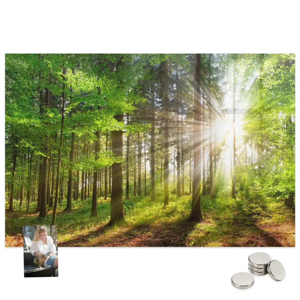 Tablă magnetică Pădure de dimineață