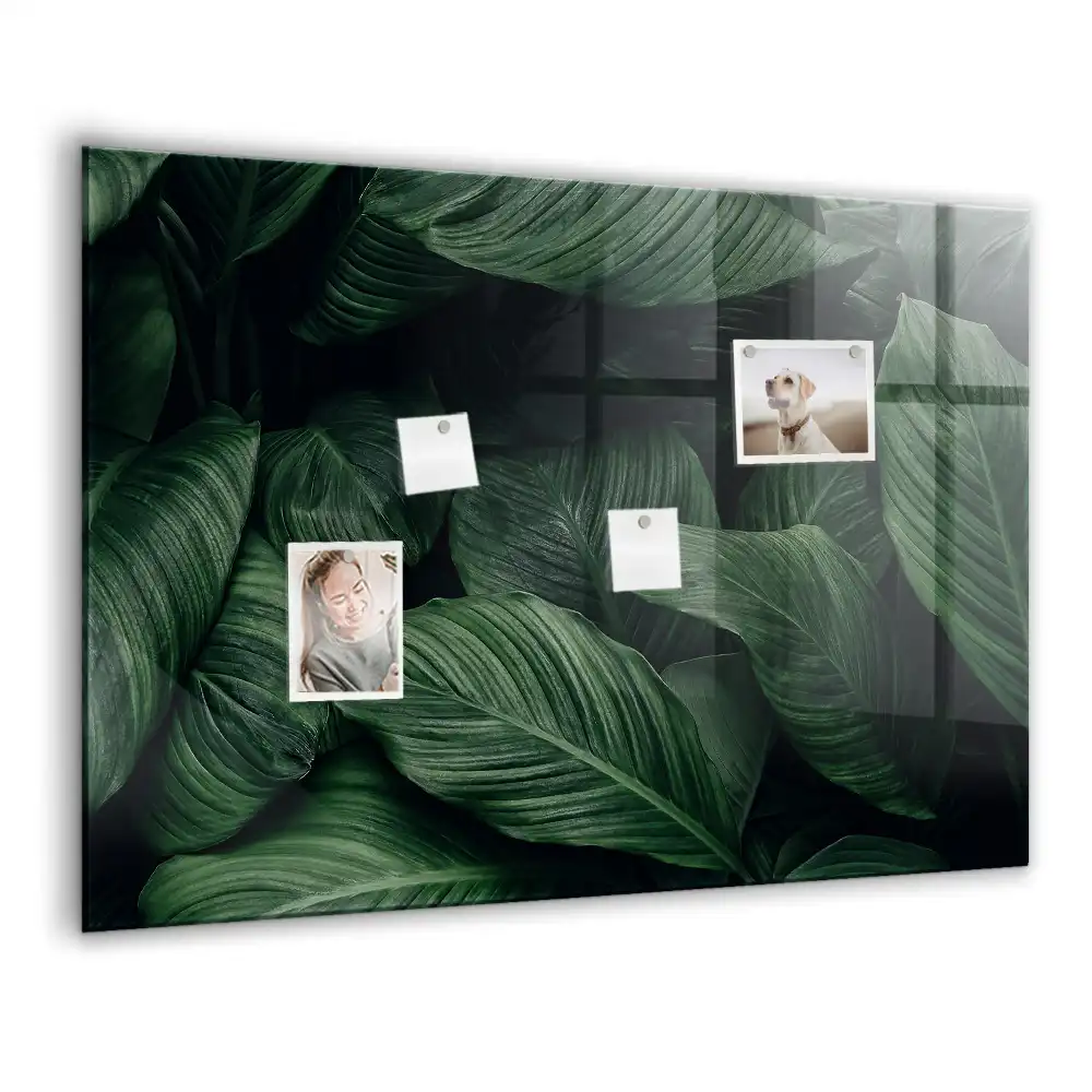 Tablă magnetică din sticlă cu model Monstera Exotică