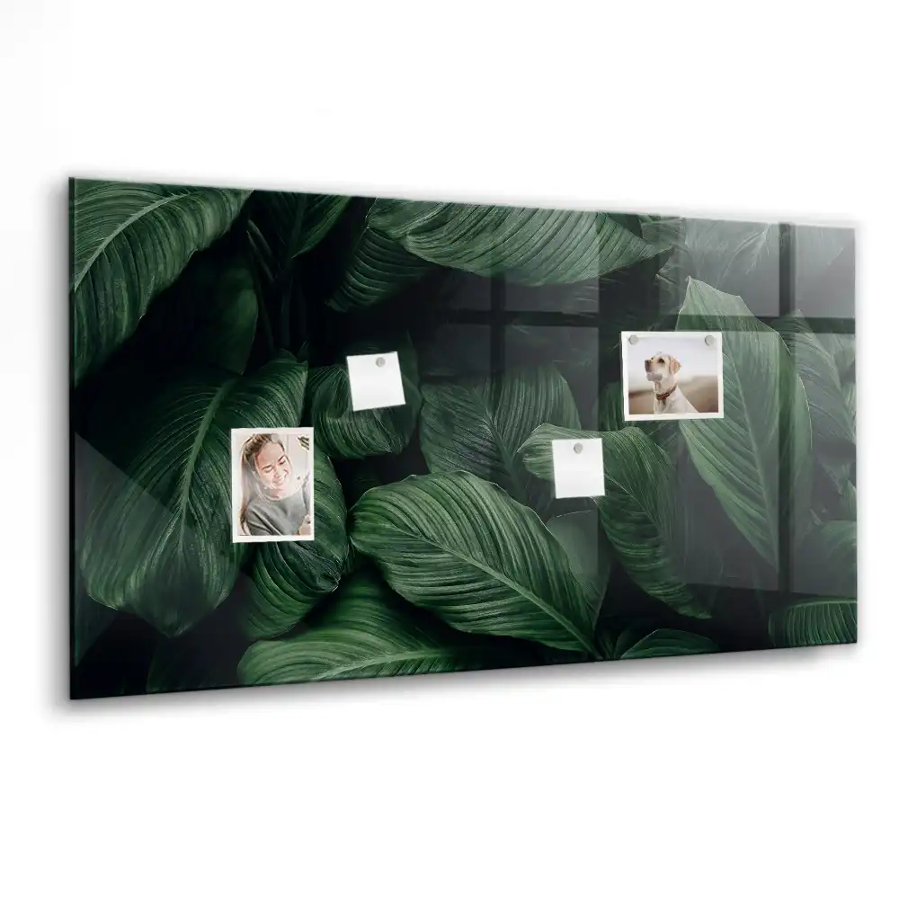 Tablă magnetică din sticlă cu model Monstera Exotică