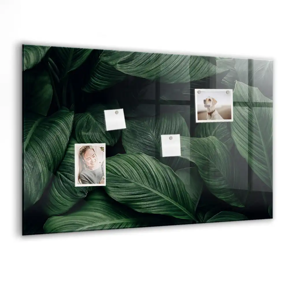 Tablă magnetică din sticlă cu model Monstera Exotică