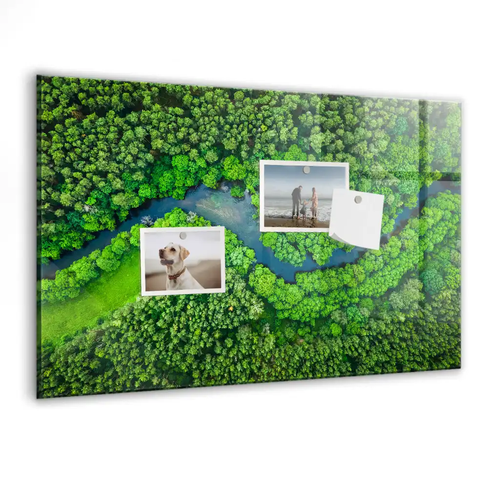 Tablă magnetică din sticlă Pârâu de pădure