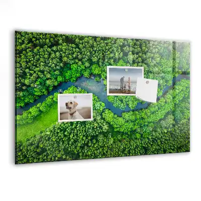 Tablă magnetică din sticlă Pârâu de pădure