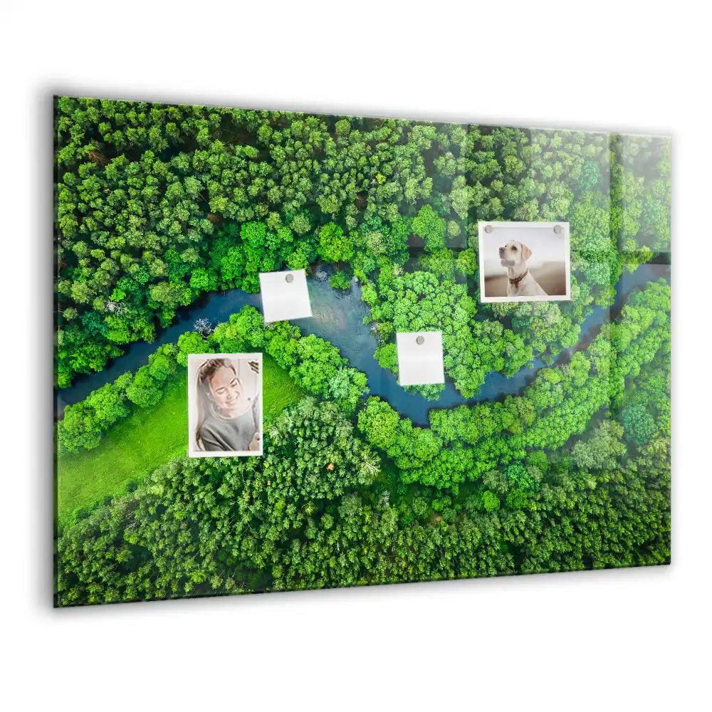 Tablă magnetică din sticlă Pârâu de pădure