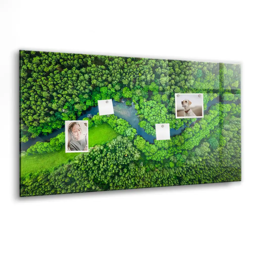 Tablă magnetică din sticlă Pârâu de pădure