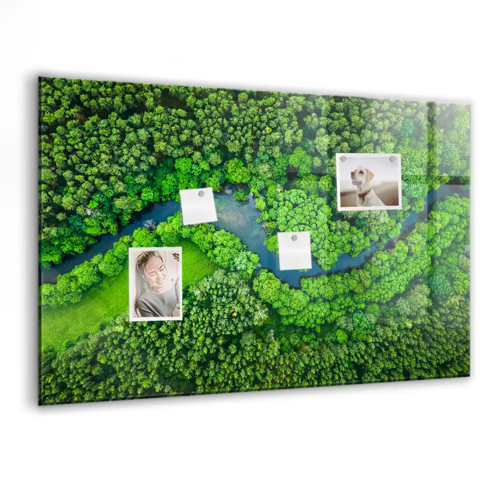 Tablă magnetică din sticlă Pârâu de pădure