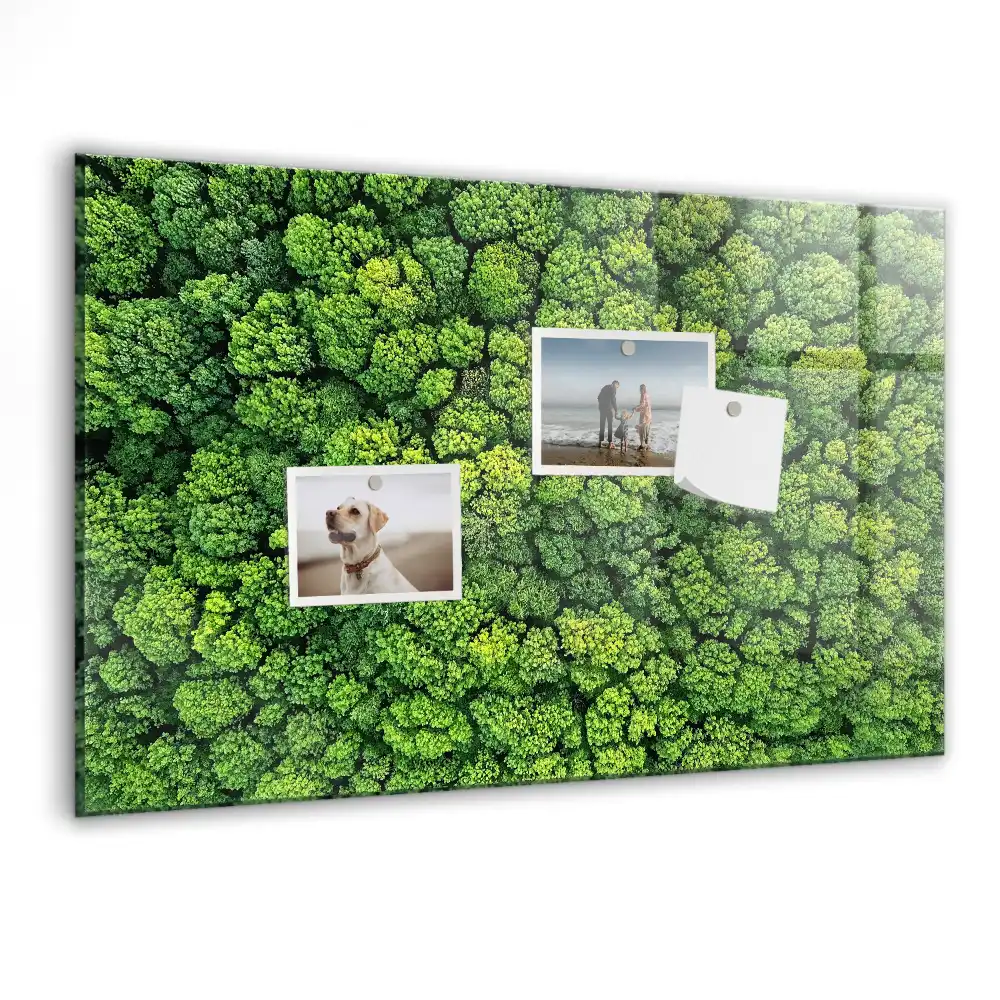 Tablă magnetică cu peisaj de pădure de conifere