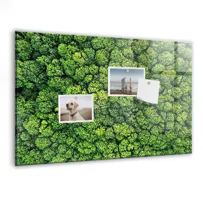 Tablă magnetică cu peisaj de pădure de conifere