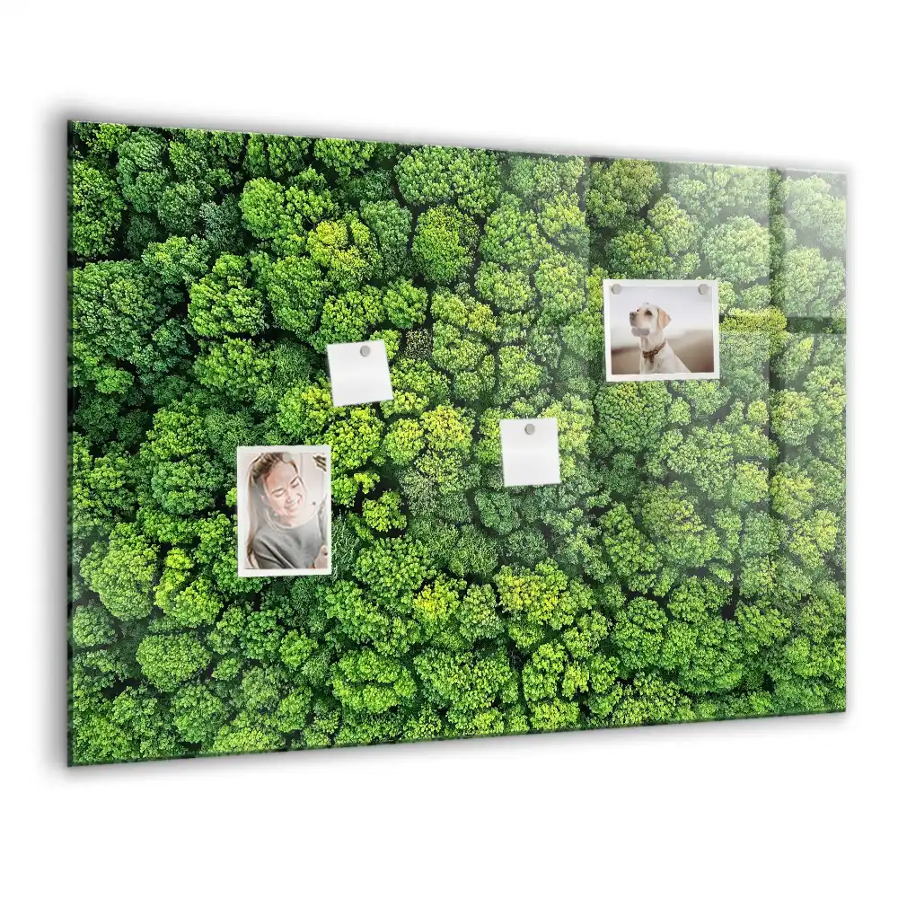 Tablă magnetică cu peisaj de pădure de conifere