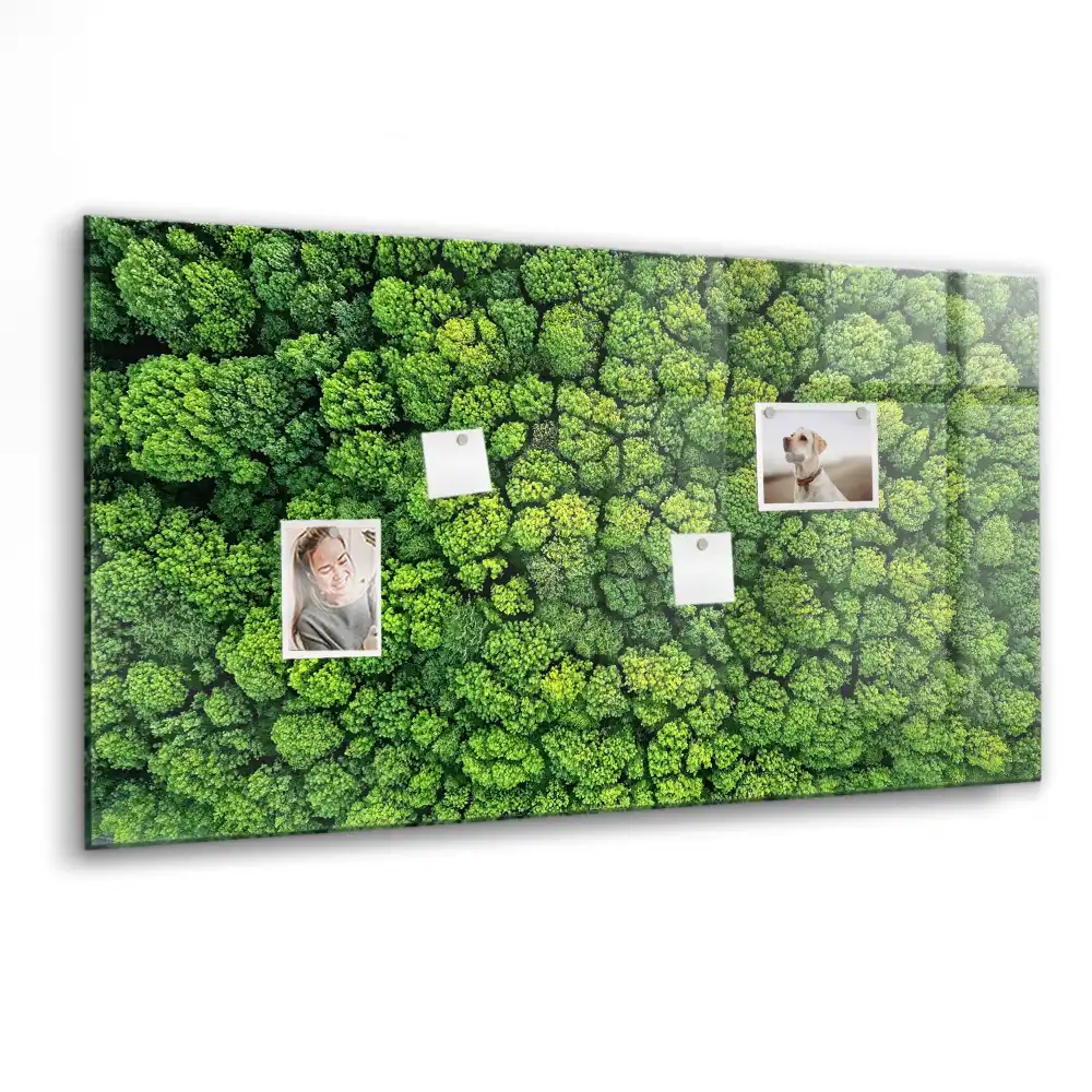 Tablă magnetică cu peisaj de pădure de conifere