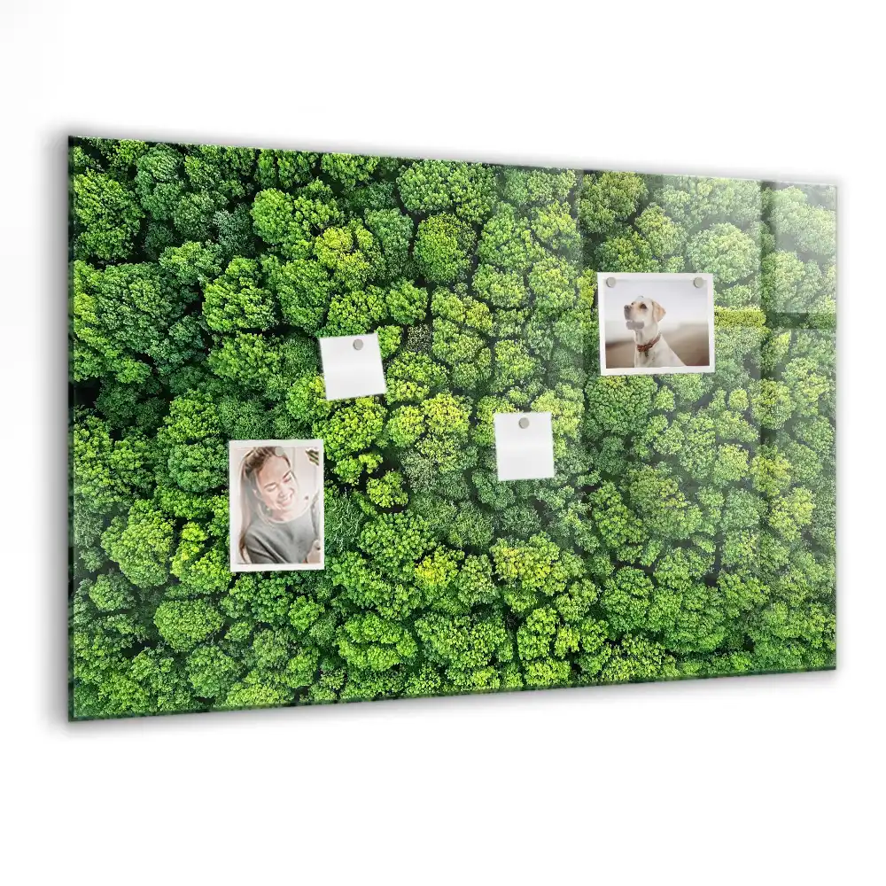 Tablă magnetică cu peisaj de pădure de conifere